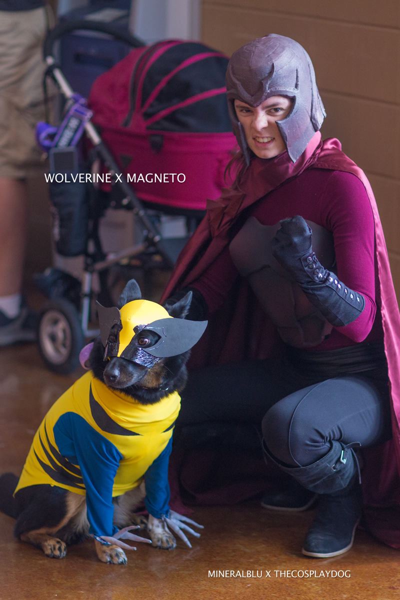 Cosplay by Thecosplaydog